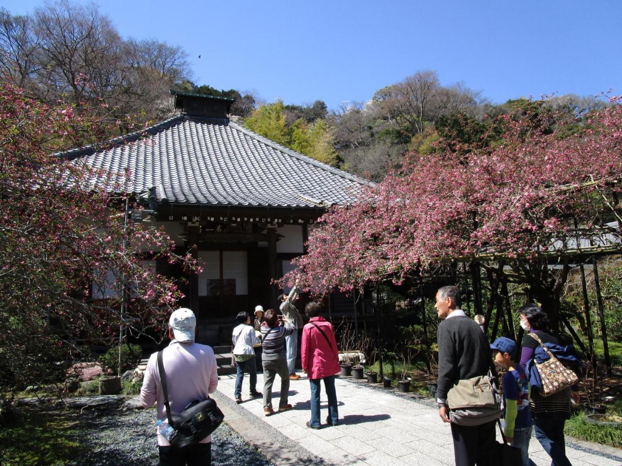Kamakura Central Guest House ภายนอก รูปภาพ